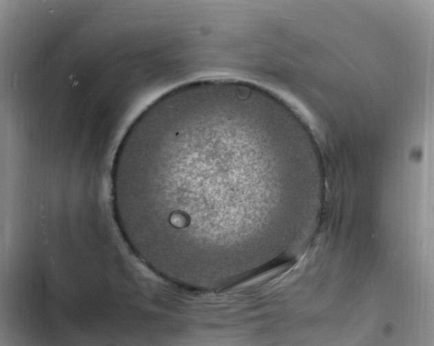 X0000102781279200808251107