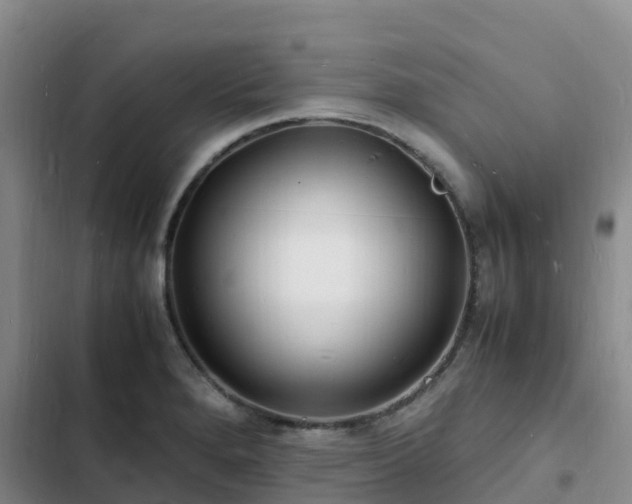 X0000102781280200808251107