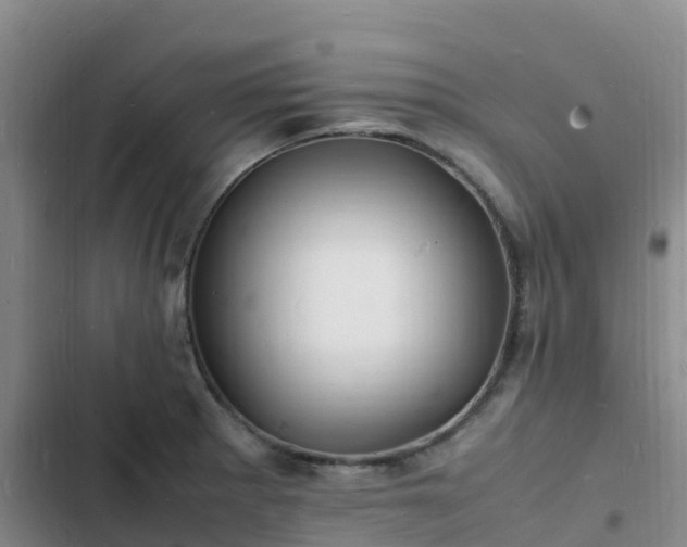 X0000102781281200808251107