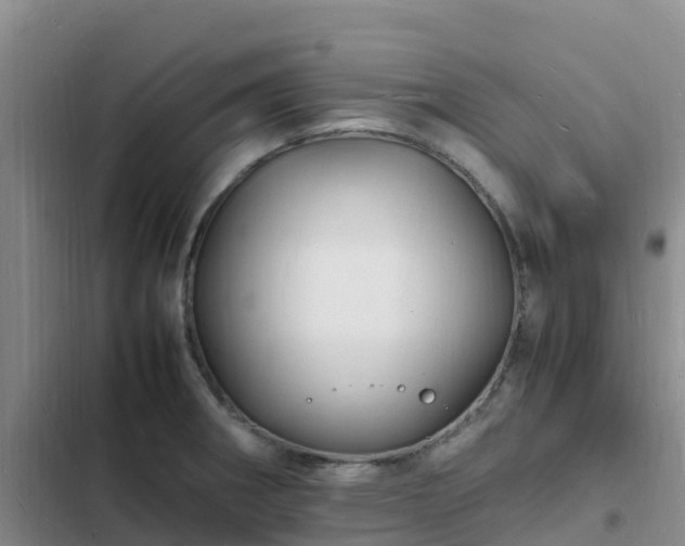 X0000102781282200808251107