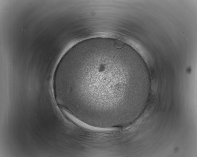 X0000102781283200808251107