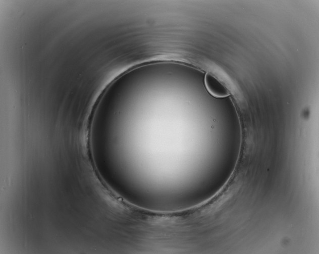 X0000102781284200808251107