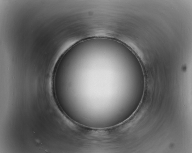 X0000102781285200808251107