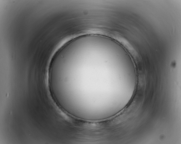 X0000102781286200808251107