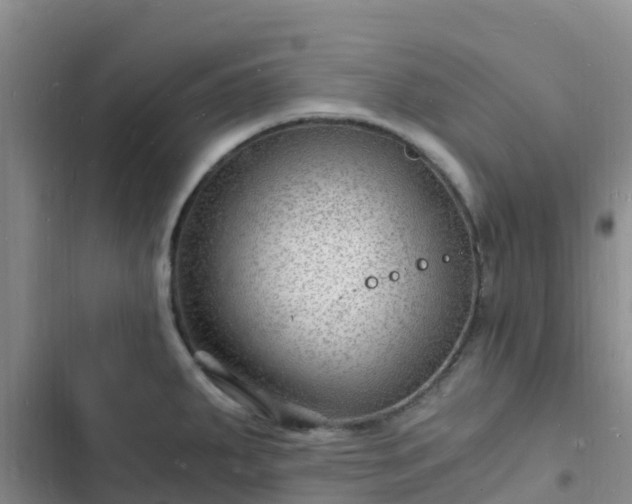 X0000102781287200808251107