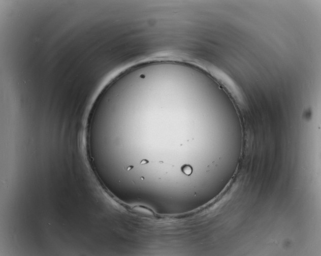 X0000102781288200808251107