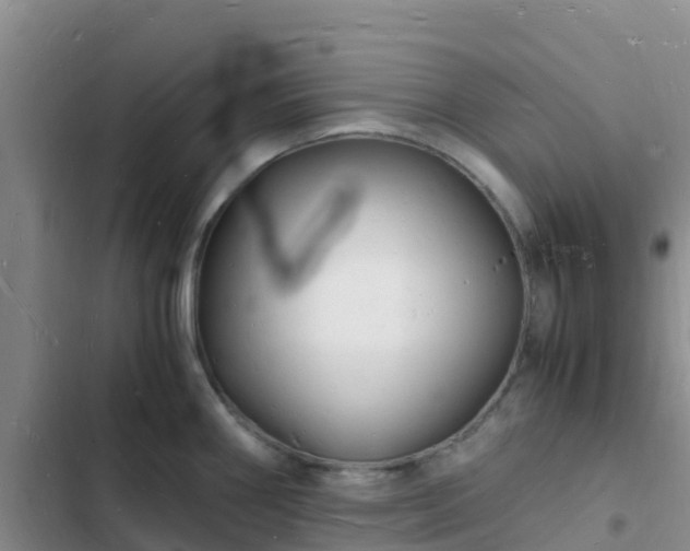 X0000102781290200808251107