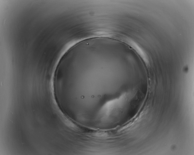 X0000102781291200808251107