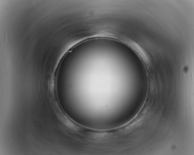 X0000102781292200808251107