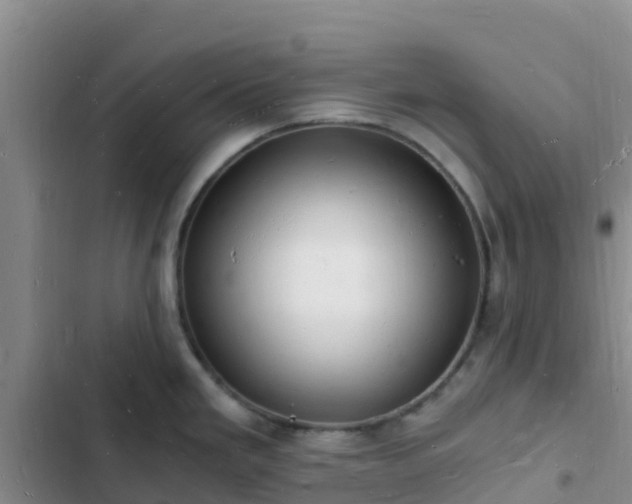 X0000102781293200808251107