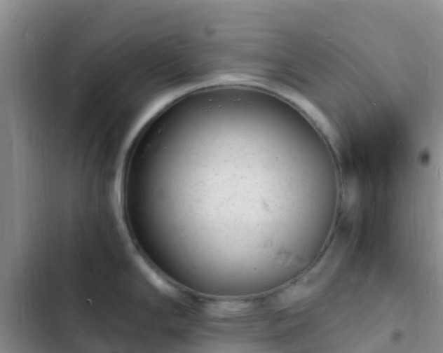 X0000102781294200808251107