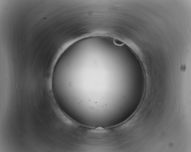 X0000102781296200808251107