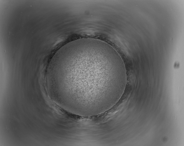 X0000102781297200808251106