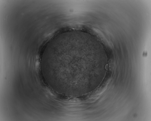 X0000102781298200808251106