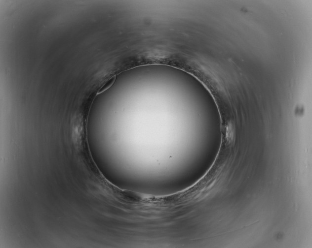 X0000102781299200808251106