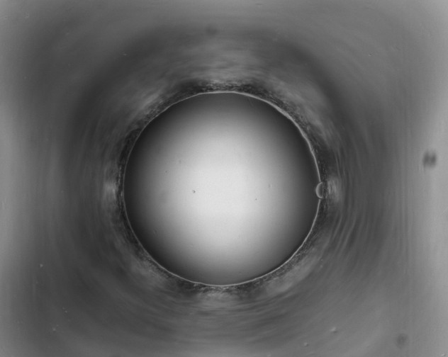 X0000102781300200808251106