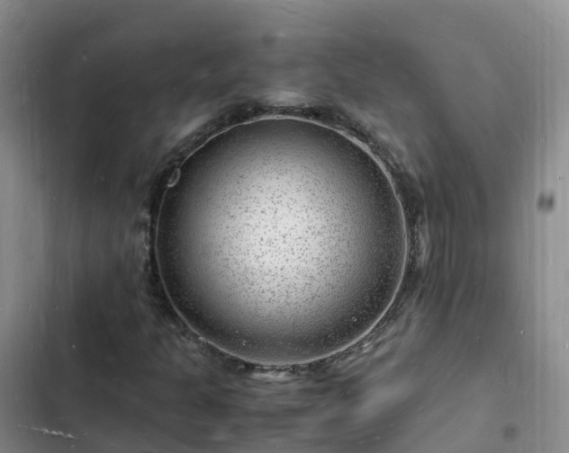 X0000102781301200808251106