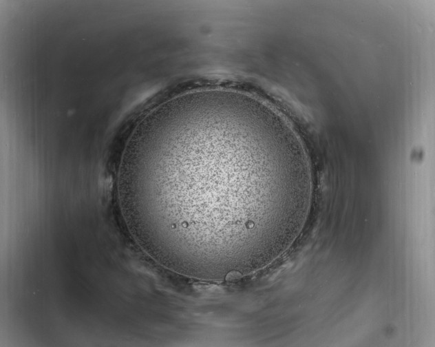 X0000102781302200808251106