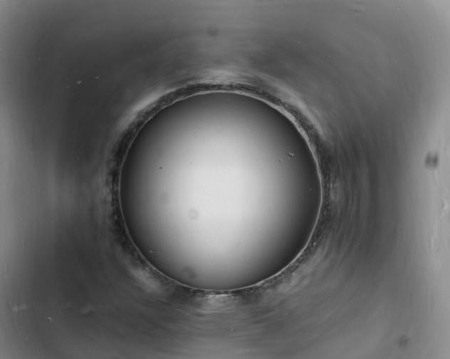 X0000102781304200808251106