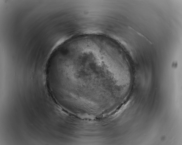 X0000102781306200808251106