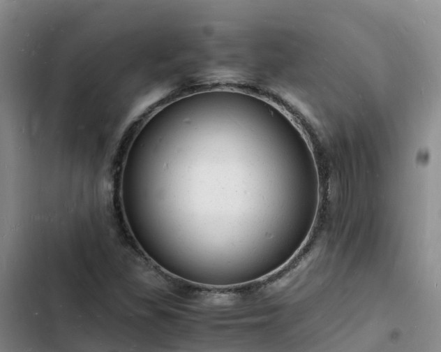 X0000102781309200808251106