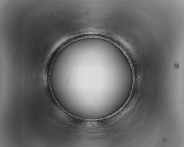 X0000102781310200808251106