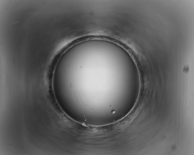 X0000102781311200808251106