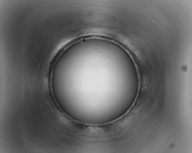 X0000102781312200808251106