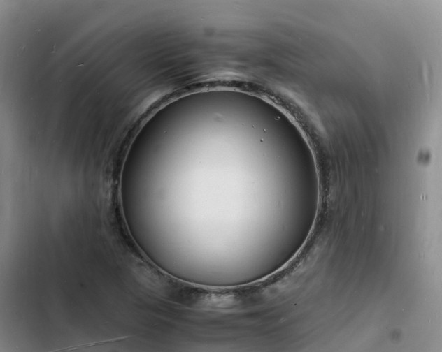 X0000102781313200808251106