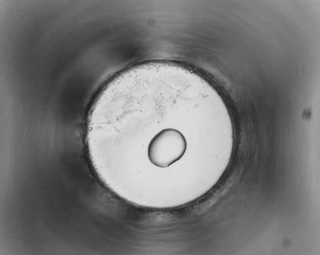 X0000102781314200808251106