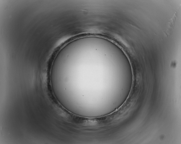 X0000102781315200808251106