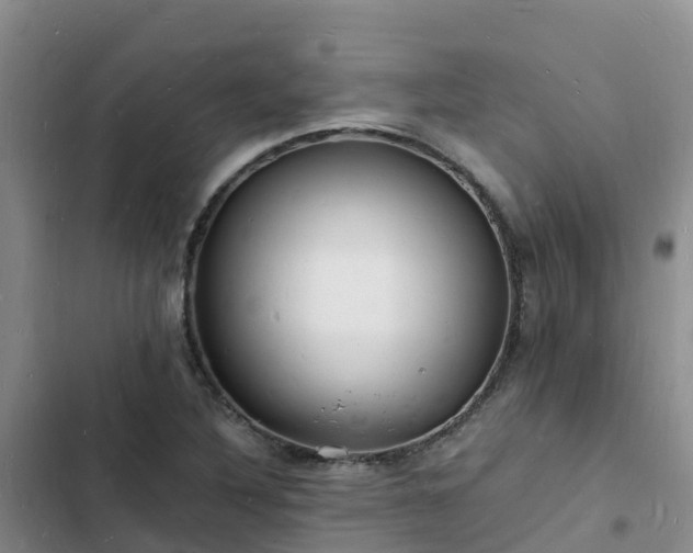 X0000102781316200808251106