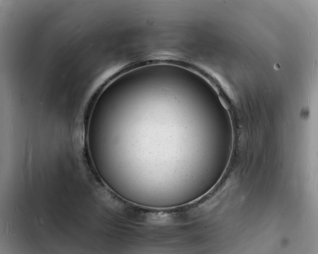 X0000102781317200808251106