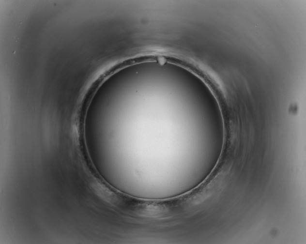 X0000102781318200808251106