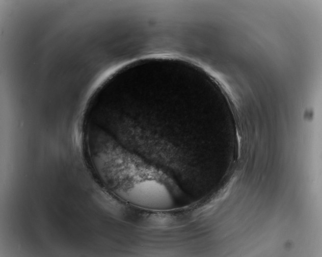 X0000102781319200808251106