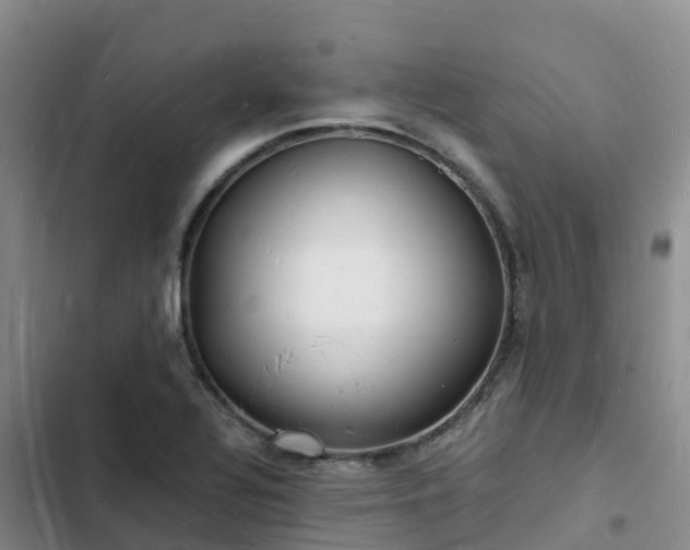 X0000102781320200808251106