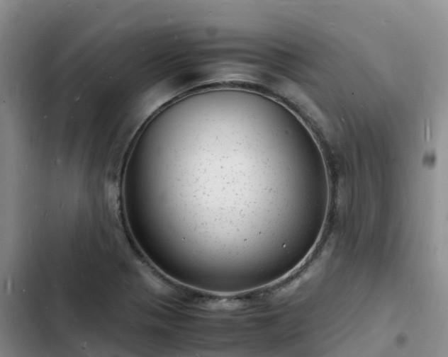 X0000102781321200808251106