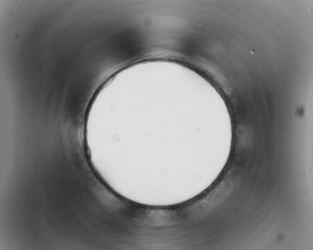 X0000102781322200808251106