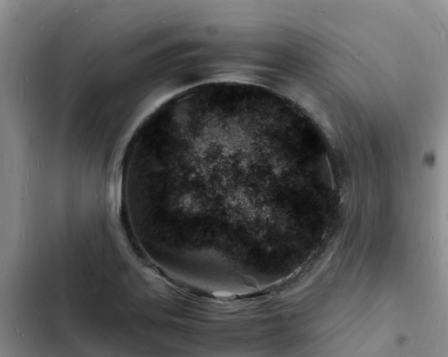 X0000102781323200808251106