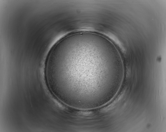 X0000102781325200808251106