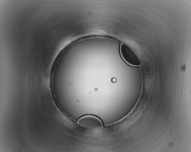 X0000102781326200808251106