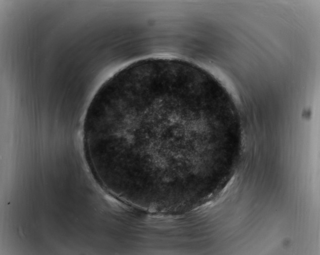 X0000102781327200808251106