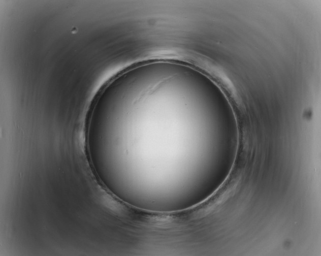 X0000102781328200808251106