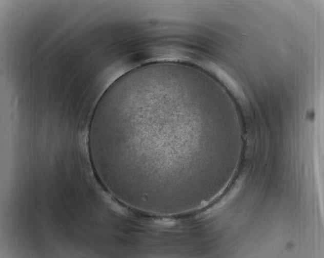 X0000102781329200808251107