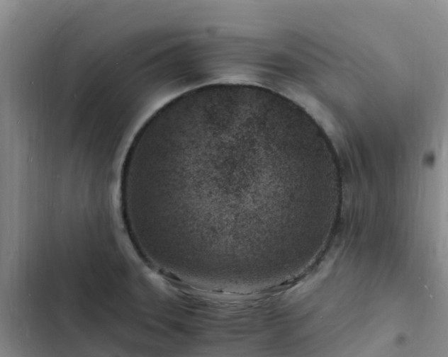 X0000102781331200808251107