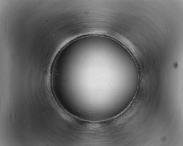 X0000102781332200808251107