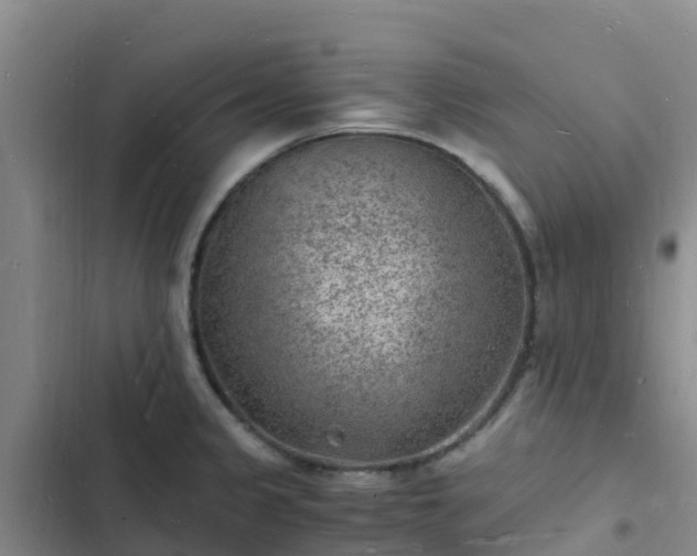 X0000102781333200808251107