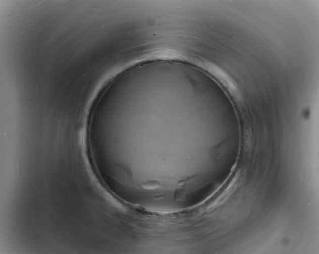 X0000102781334200808251107