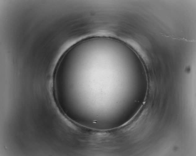 X0000102781335200808251107