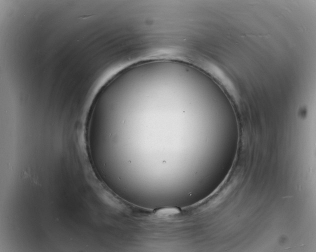 X0000102781336200808251107